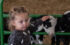 750-x-561-child-petting-goat