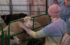 750-x-561-woman-petting-sheep