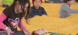 Kids Playing in the Corn Pit